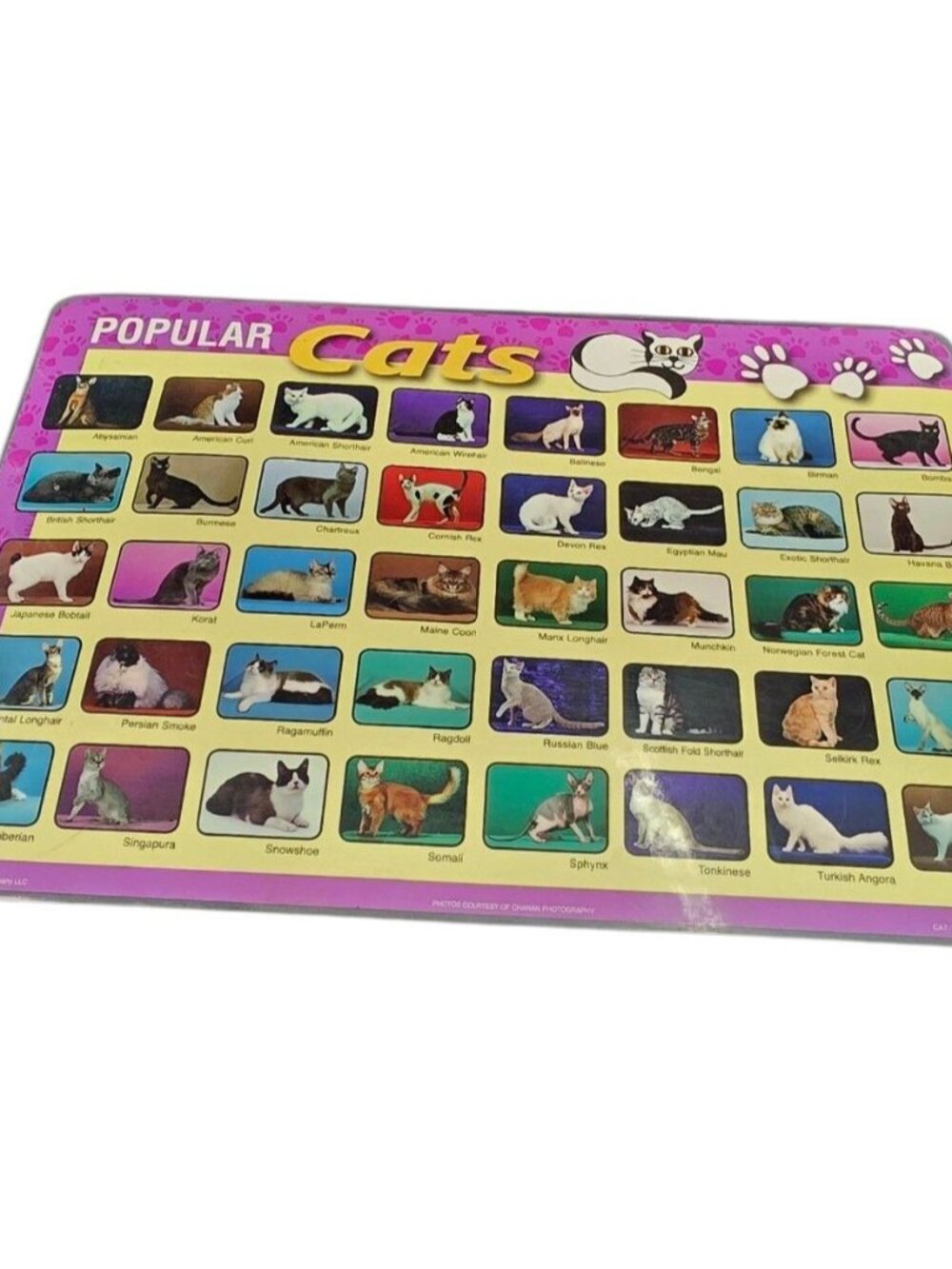 Popular Cats Placemats, Large Wipe Off